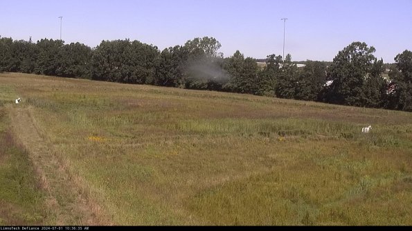 Cell 2_24-07-01_10-36-36-44