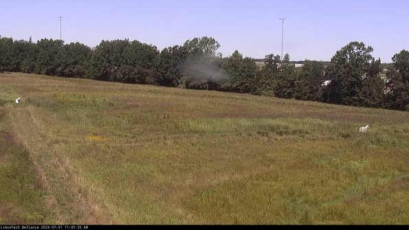 Cell 2_24-07-01_11-43-36-35