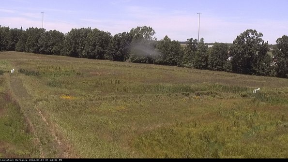 Cell 2_24-07-01_13-24-03-38