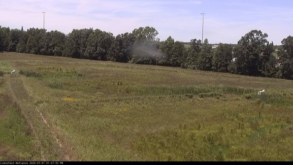 Cell 2_24-07-01_13-57-33-40