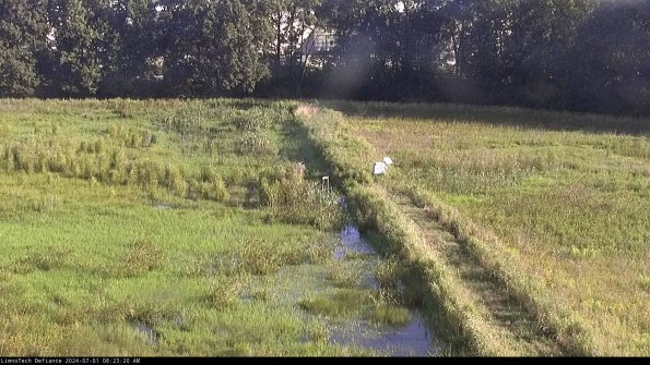 Cell 3 to 4_24-07-01_08-23-21-33