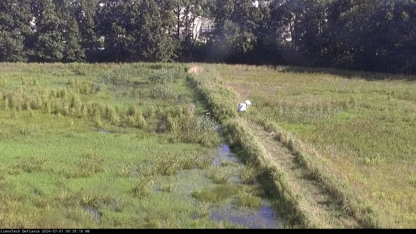 Cell 3 to 4_24-07-01_09-30-20-34