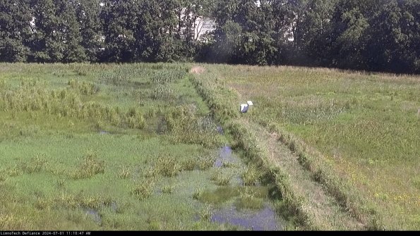 Cell 3 to 4_24-07-01_11-10-48-30