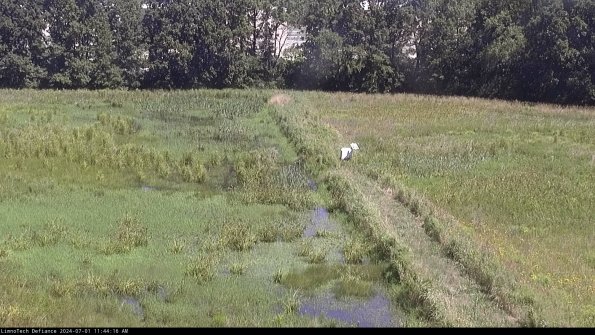 Cell 3 to 4_24-07-01_11-44-17-32