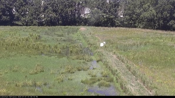 Cell 3 to 4_24-07-01_13-58-15-34