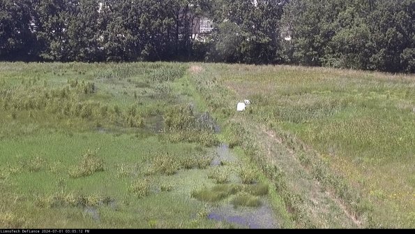 Cell 3 to 4_24-07-01_15-05-13-31