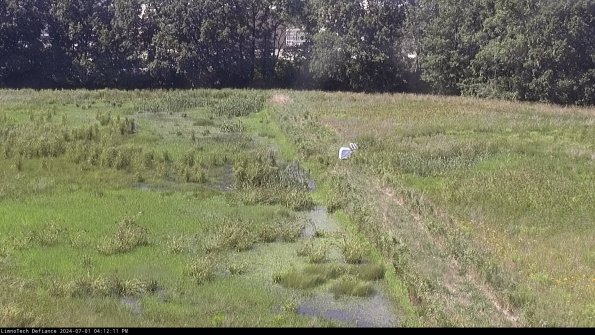 Cell 3 to 4_24-07-01_16-12-12-32