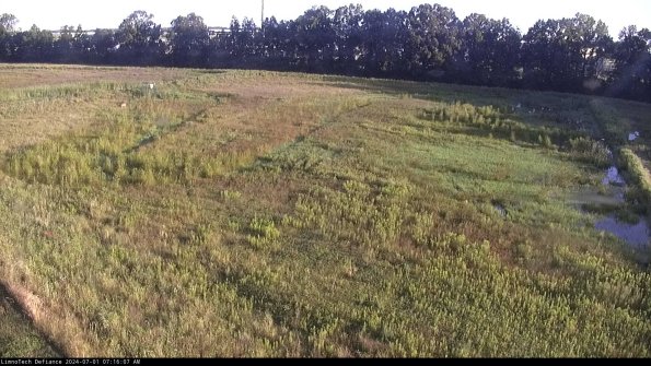 Cell 3_24-07-01_07-16-07-55