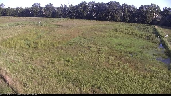 Cell 3_24-07-01_08-23-07-59