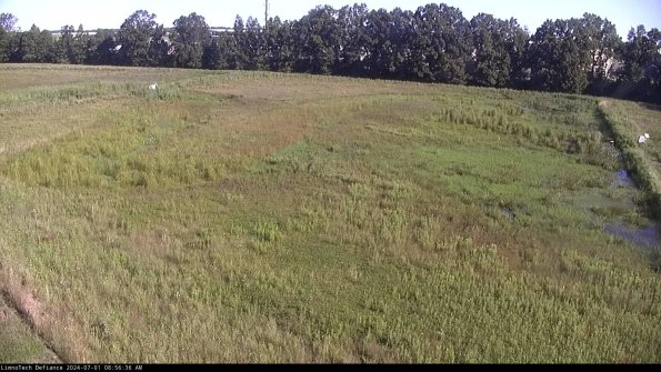 Cell 3_24-07-01_08-56-36-57