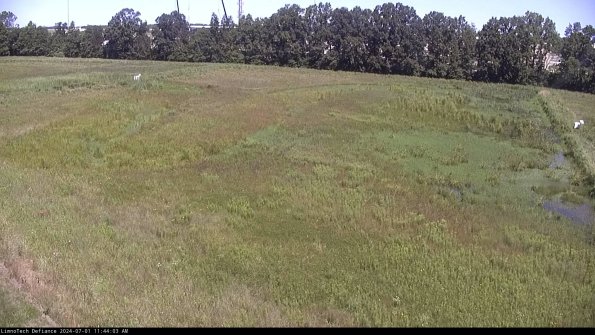 Cell 3_24-07-01_11-44-03-58