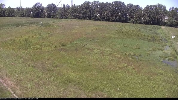 Cell 3_24-07-01_13-58-01-33