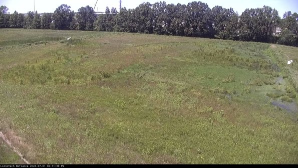 Cell 3_24-07-01_14-31-30-58