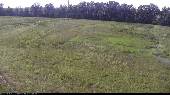 Cell 3_24-07-01_17-52-27-33