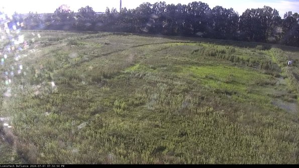 Cell 3_24-07-01_19-32-54-59