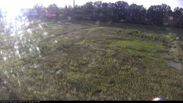 Cell 3_24-07-01_20-06-24-34