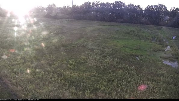 Cell 3_24-07-01_20-39-53-60