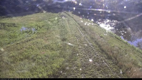 Cell 4 to Basin_24-07-01_08-24-05-35