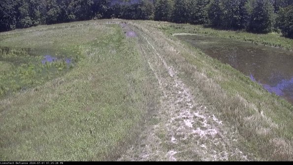 Cell 4 to Basin_24-07-01_13-25-29-36