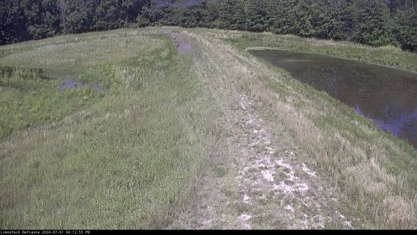 Cell 4 to Basin_24-07-01_16-12-56-36