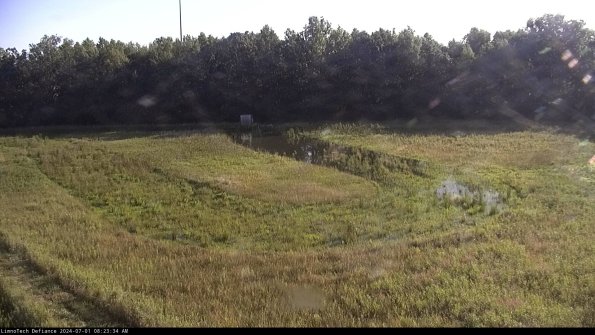 Cell 4_24-07-01_08-23-35-32