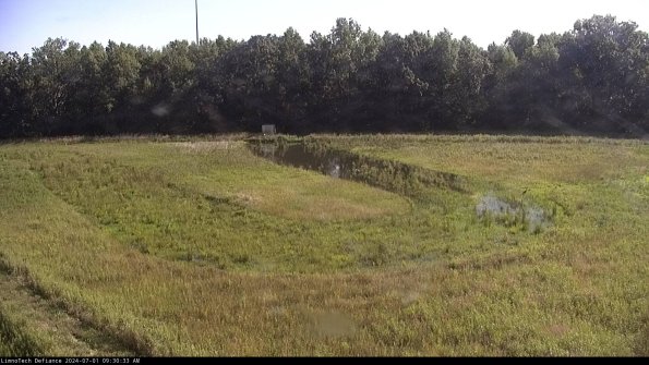 Cell 4_24-07-01_09-30-34-32