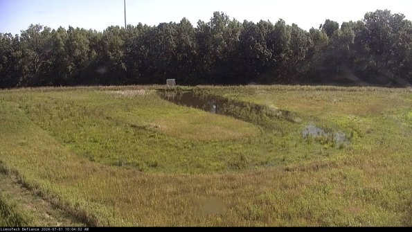 Cell 4_24-07-01_10-04-03-31