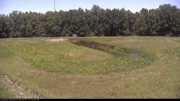 Cell 4_24-07-01_13-58-29-32