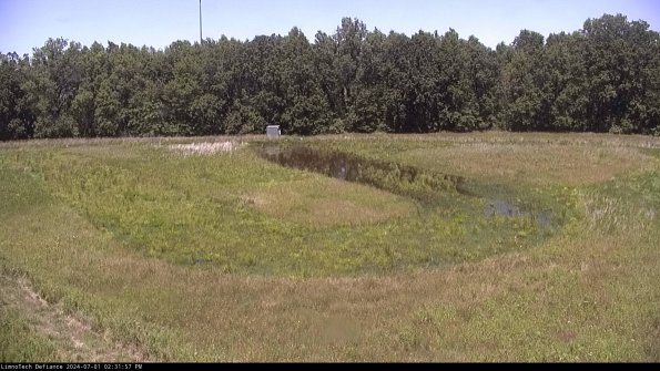 Cell 4_24-07-01_14-31-58-34