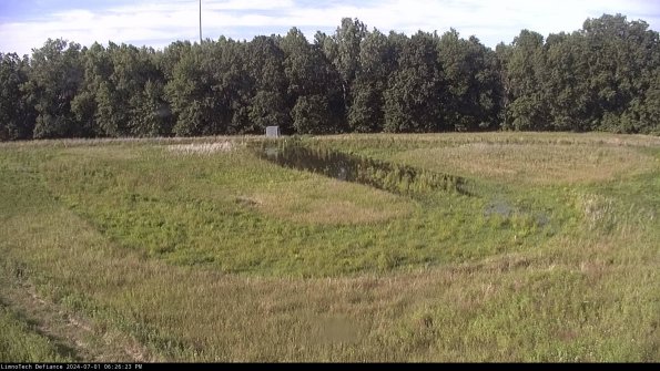 Cell 4_24-07-01_18-26-24-31