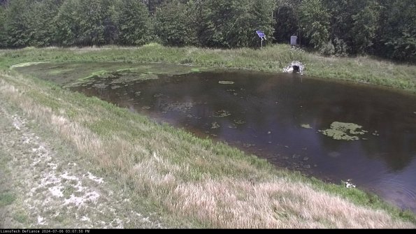 Basin_24-07-06_15-07-50-45