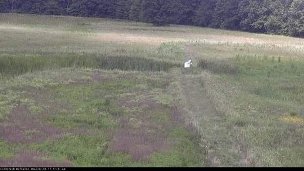 Cell 1 to 2_24-07-06_11-11-32-33