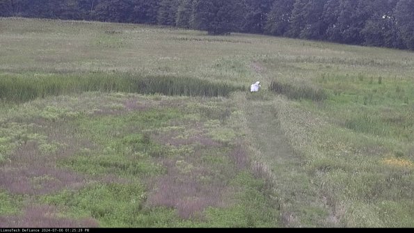 Cell 1 to 2_24-07-06_13-25-30-35