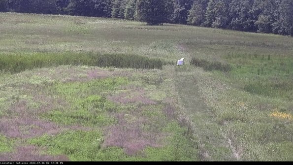 Cell 1 to 2_24-07-06_14-32-29-32