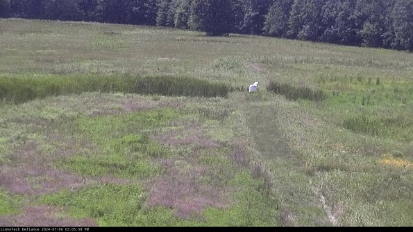 Cell 1 to 2_24-07-06_15-05-59-34