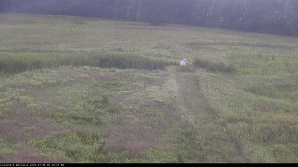 Cell 1 to 2_24-07-06_18-26-54-33