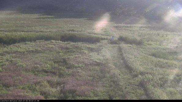 Cell 1 to 2_24-07-06_20-07-22-35