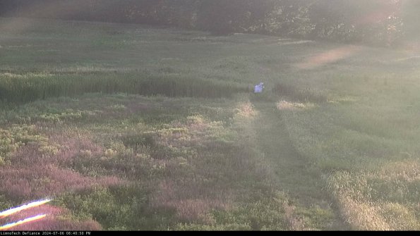 Cell 1 to 2_24-07-06_20-40-51-34