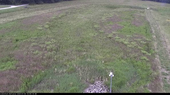 Cell 1_24-07-06_10-04-19-31