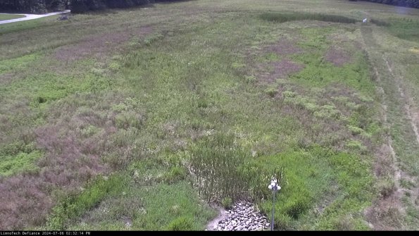 Cell 1_24-07-06_14-32-15-34