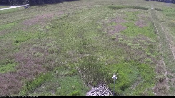 Cell 1_24-07-06_15-05-45-33