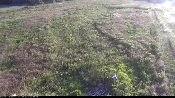 Cell 1_24-07-06_20-07-08-34