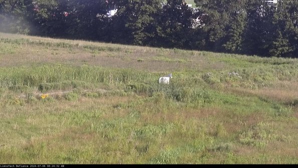 Cell 2 to 3_24-07-06_08-24-33-42