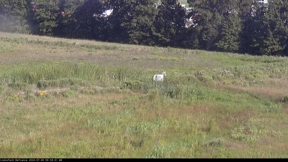 Cell 2 to 3_24-07-06_08-58-01-47