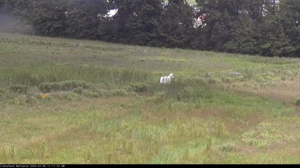 Cell 2 to 3_24-07-06_11-11-58-42