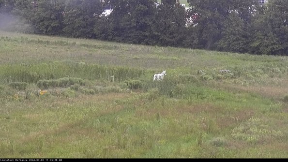 Cell 2 to 3_24-07-06_11-45-28-58