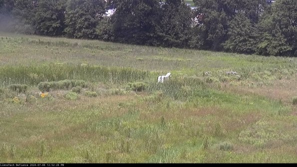 Cell 2 to 3_24-07-06_12-52-27-42