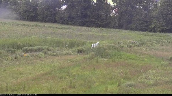 Cell 2 to 3_24-07-06_13-25-56-54