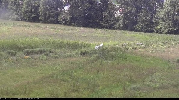 Cell 2 to 3_24-07-06_14-32-55-38