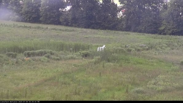 Cell 2 to 3_24-07-06_15-39-55-52